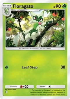 Floragato #002