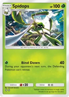 Spidops #005