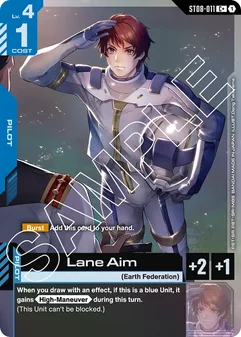 Lane Aim #11a