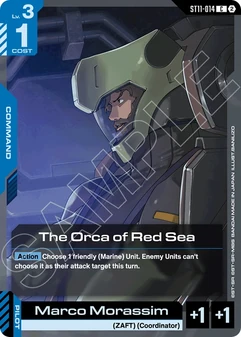The Orca of Red Sea #14