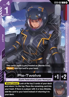 Ple-Twelve #12
