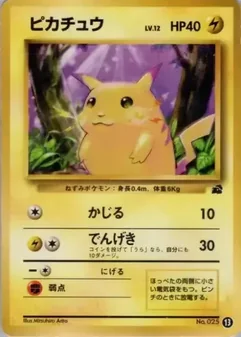 Pikachu #13