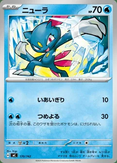 Sneasel #170