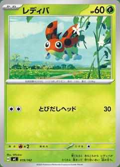 Ledyba #19