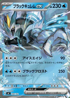Black Kyurem ex #204