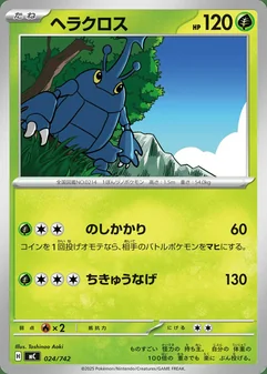 Heracross #24