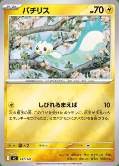 Pachirisu #247