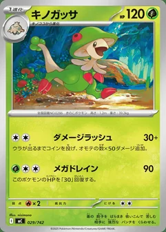 Breloom #29
