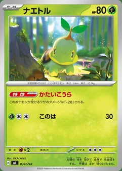 Turtwig #34