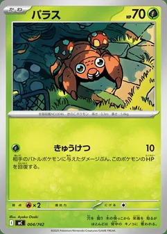 Paras #4