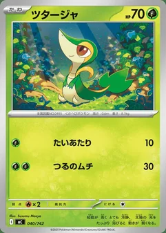 Snivy #40