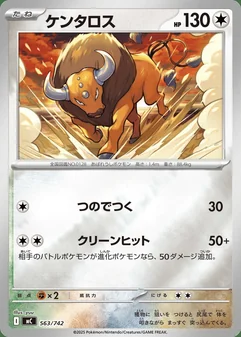 Tauros #563
