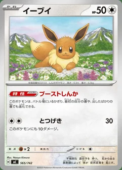 Eevee #565