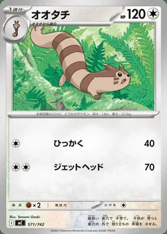 Furret #571