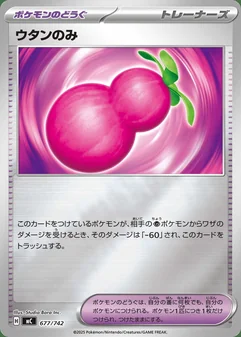 Payapa Berry #677