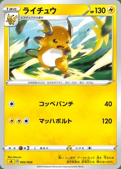 Raichu #2