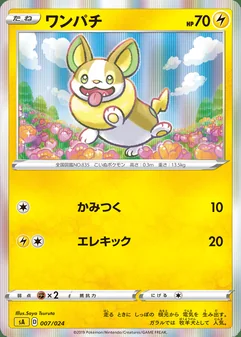 Yamper #7