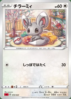 Minccino #10