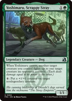 Yoshimaru, Scrappy Stray #269