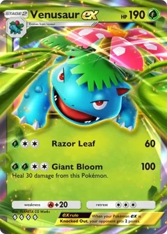 Venusaur ex #005