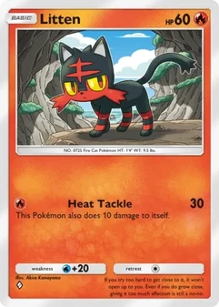 Litten #078