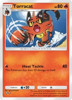 Torracat #080