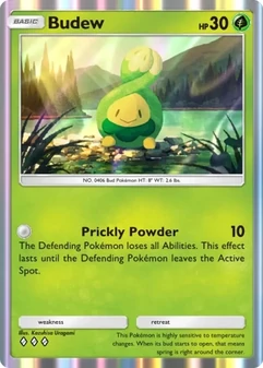 Budew #013