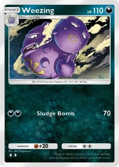 Weezing #102
