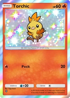 Torchic #206