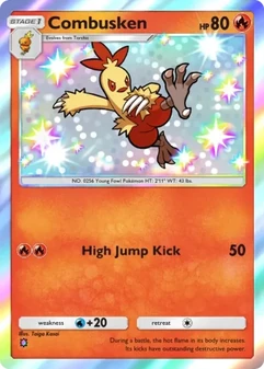 Combusken #207