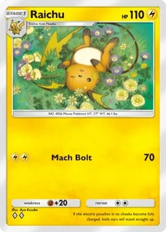 Raichu #022