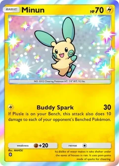 Minun #210