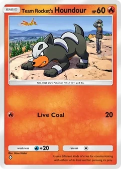 Team Rocket's Houndour #008
