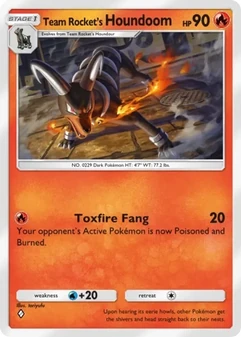 Team Rocket's Houndoom #009