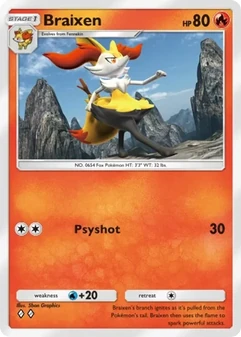Braixen #011