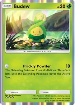 Budew #013