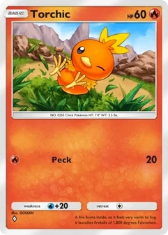 Torchic #039