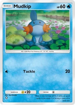 Mudkip #062