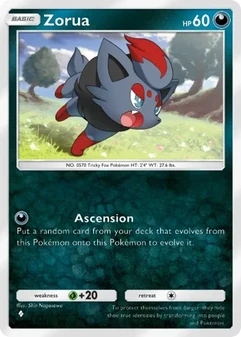 Zorua #145