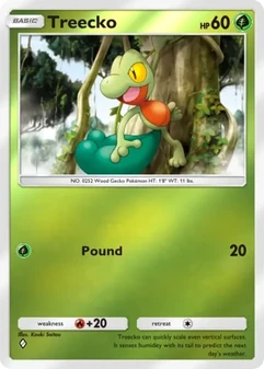 Treecko #244
